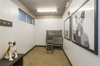 Dog Washing Station at Pet Friendly Apartments Northgate Colorado Springs